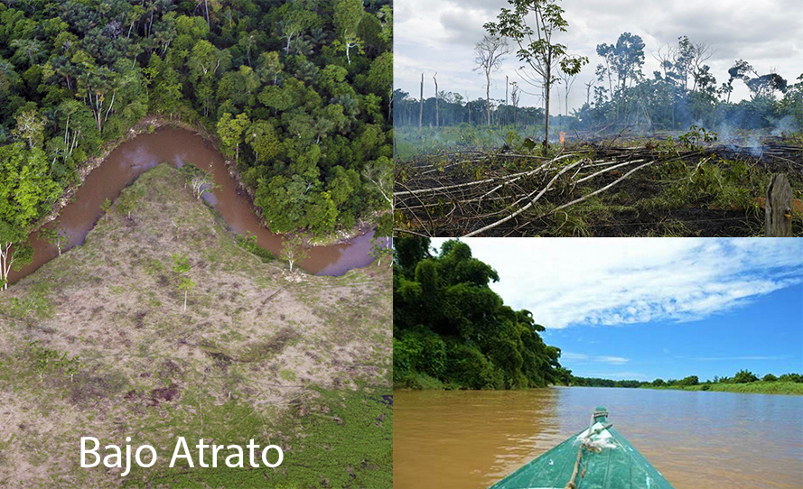 Solidaridad ante amenazas en contra del CINEP por informe sobre deforestación en el Bajo Atrato
